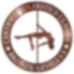 Pole Dance Trainer Ausbildung